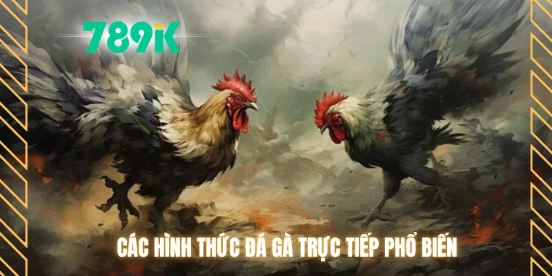 Các hình thức đá gà trực tiếp phổ biến
