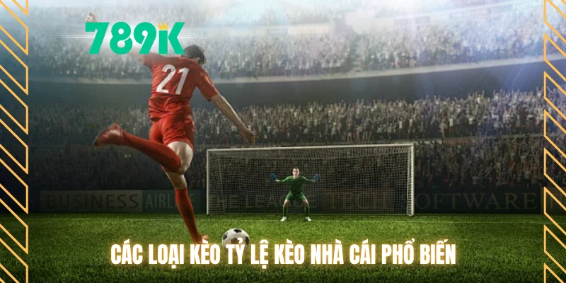 Các loại kèo tỷ lệ kèo nhà cái phổ biến
