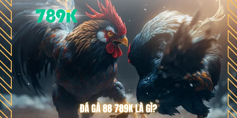 Đá gà 88 789K là gì?
