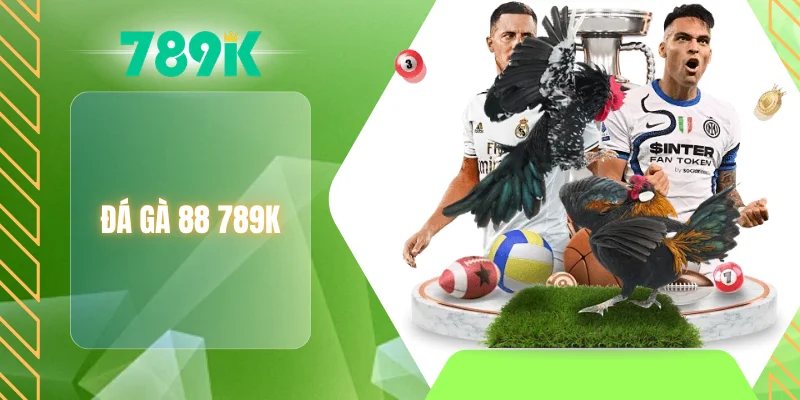 Đá gà 88 789K