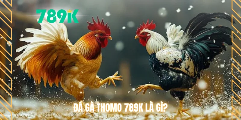 Đá gà Thomo 789K là gì?
