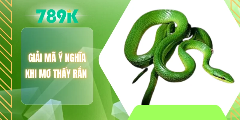 Giải mã ý nghĩa khi mơ thấy rắn
