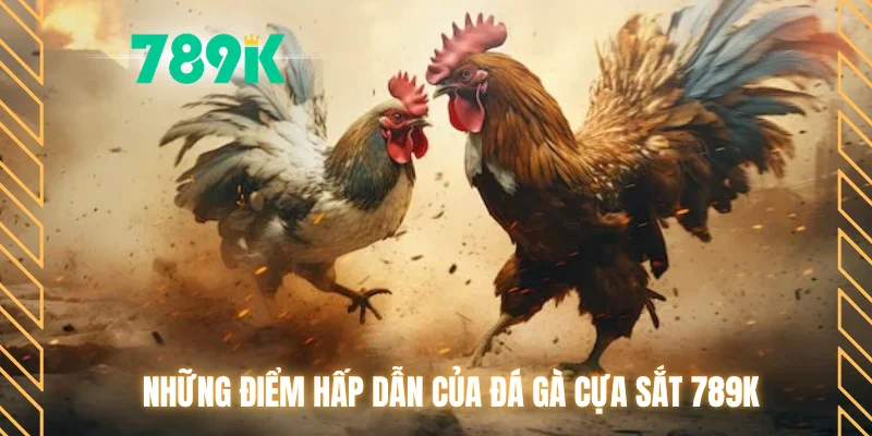 Những điểm hấp dẫn của đá gà cựa sắt 789K
