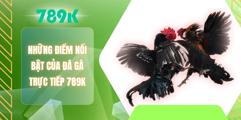 Những điểm nổi bật của đá gà trực tiếp 789K