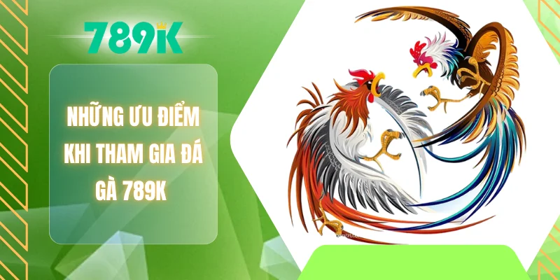 Những ưu điểm khi tham gia đá gà 789K