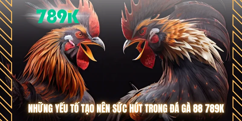 Những yếu tố tạo nên sức hút trong đá gà 88 789K