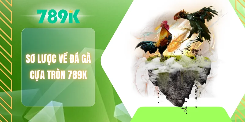 Sơ lược về đá gà cựa tròn 789K