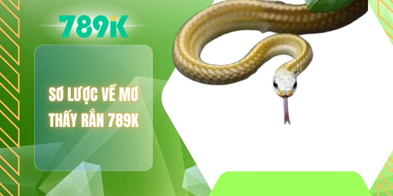 Sơ lược về mơ thấy rắn 789K