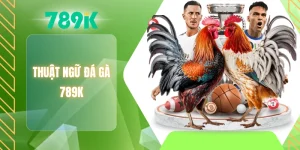 Thuật ngữ đá gà 789K