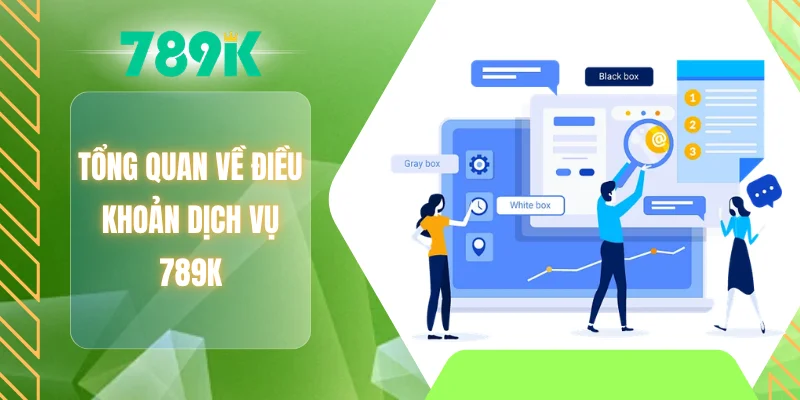 Tổng quan về điều khoản dịch vụ 789K