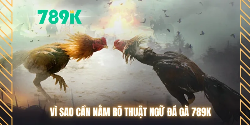 Vì sao cần nắm rõ thuật ngữ đá gà 789K?