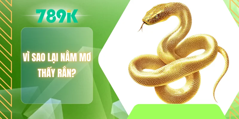 Vì sao lại nằm mơ thấy rắn?